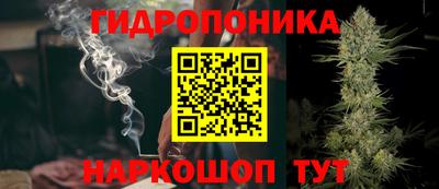 стафф Кулебаки
